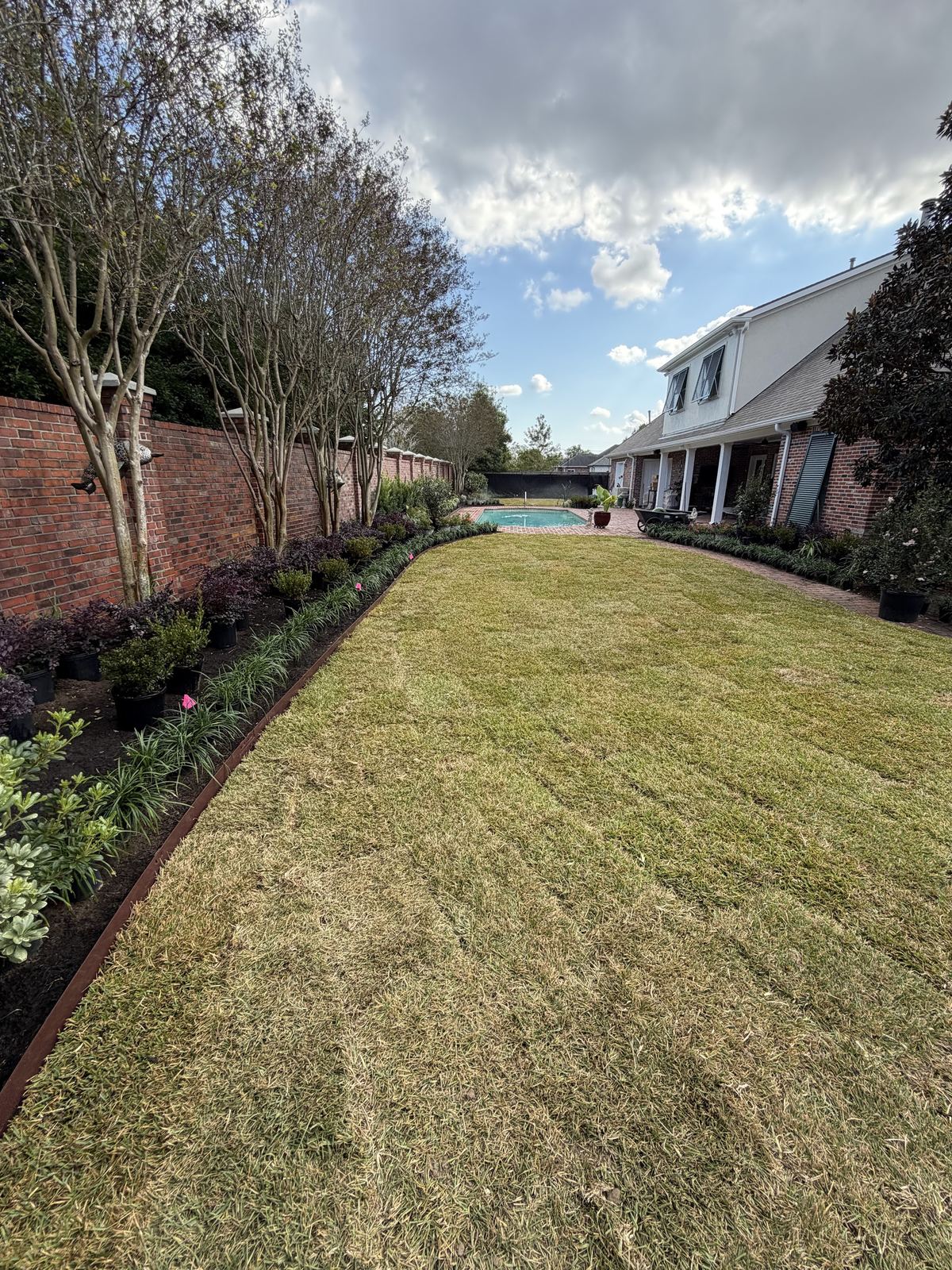 Old Metairie fresh sod installation
