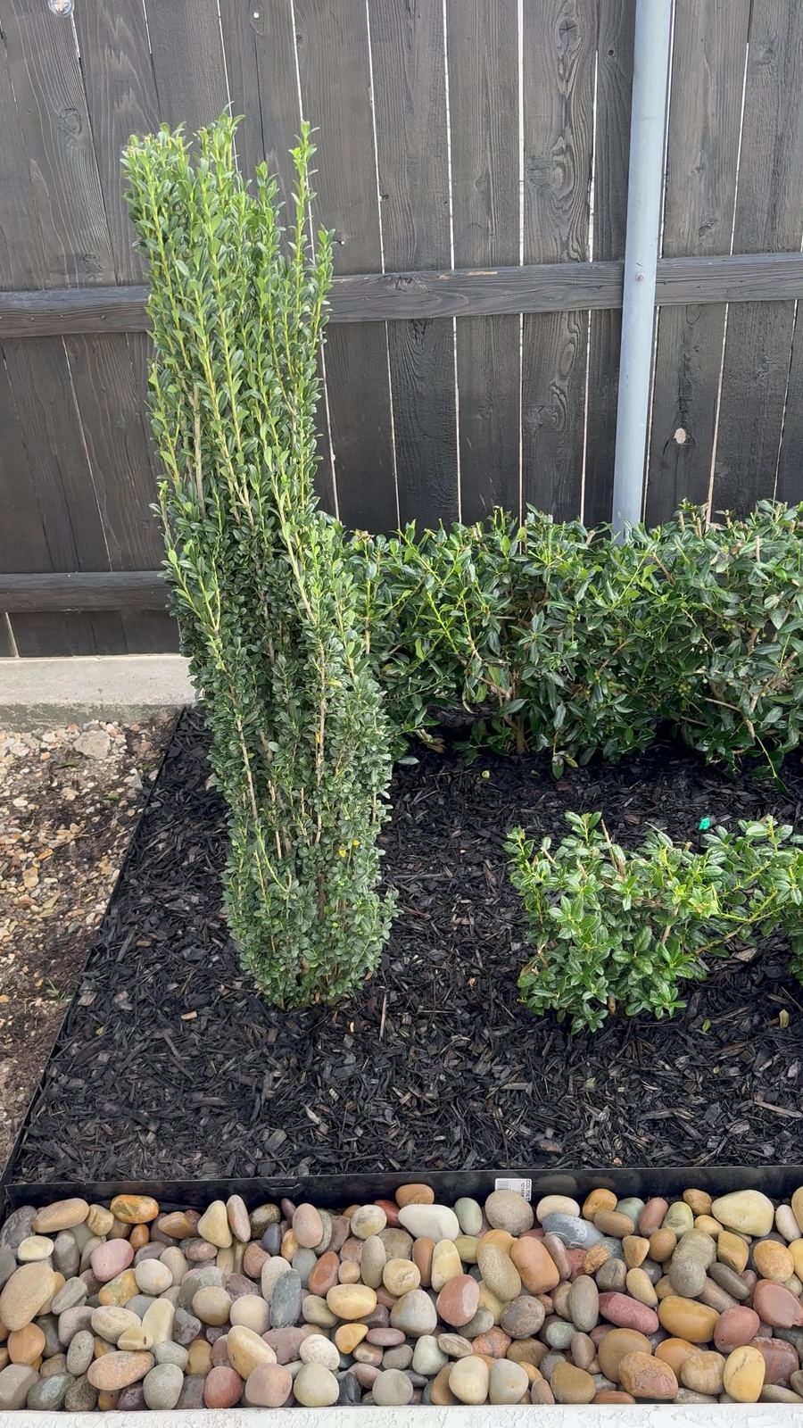 Landscaping detail